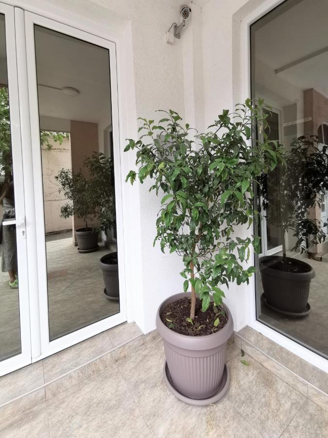 Hotel Suzana Budva Exteriör bild